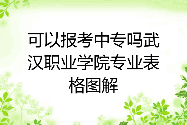可以报考中专吗武汉职业学院专业表格图解