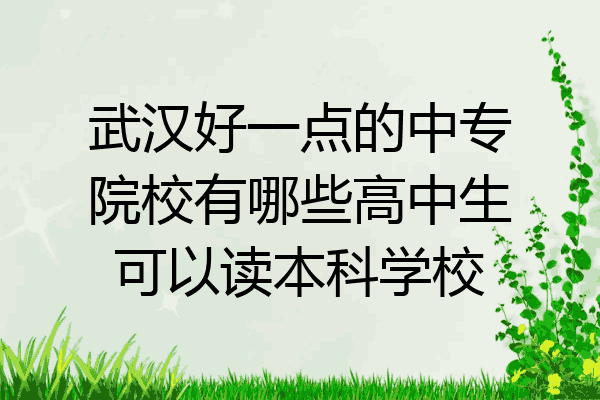 武汉好一点的中专院校有哪些高中生可以读本科学校