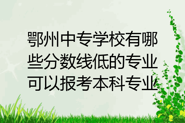 鄂州中专学校有哪些分数线低的专业可以报考本科专业