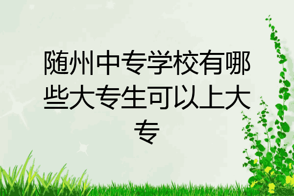 随州中专学校有哪些大专生可以上大专