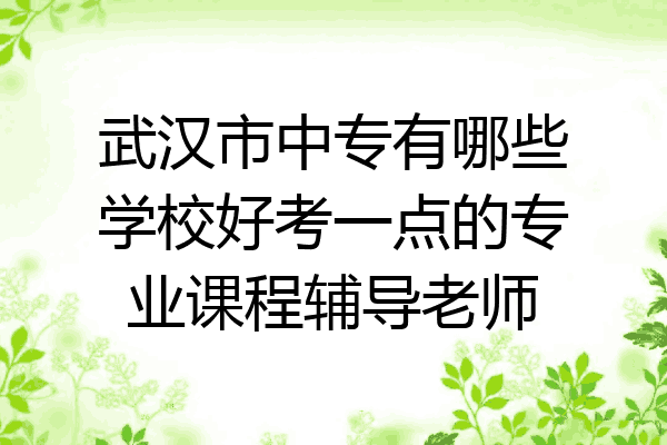 武汉市中专有哪些学校好考一点的专业课程辅导老师