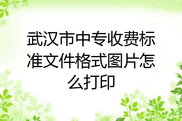 武汉市中专收费标准文件格式图片怎么打印