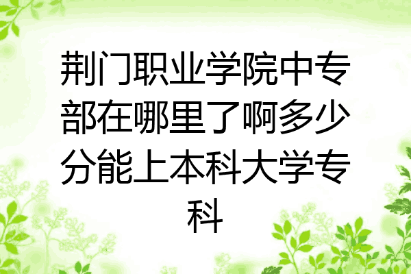 荆门职业学院中专部在哪里了啊多少分能上本科大学专科