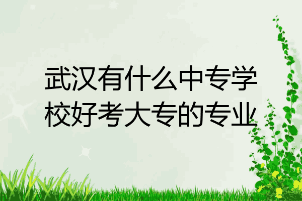 武汉有什么中专学校好考大专的专业