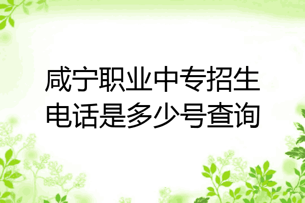 咸宁职业中专招生电话是多少号查询