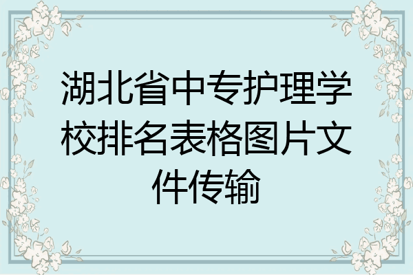 湖北省中专护理学校排名表格图片文件传输