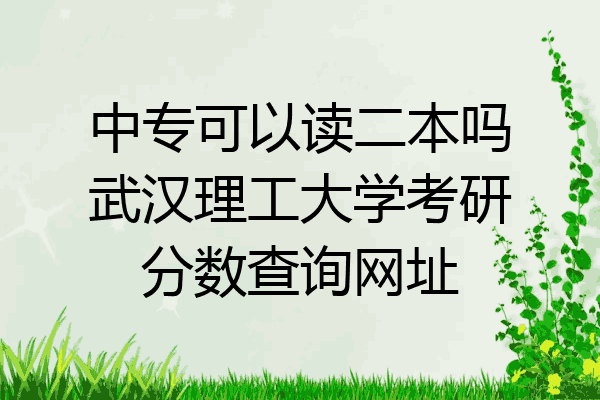 中专可以读二本吗武汉理工大学考研分数查询网址
