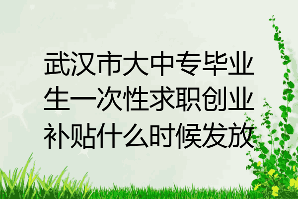 武汉市大中专毕业生一次性求职创业补贴什么时候发放