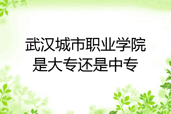 武汉城市职业学院是大专还是中专