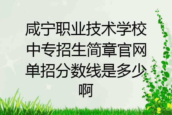 咸宁职业技术学校中专招生简章官网单招分数线是多少啊