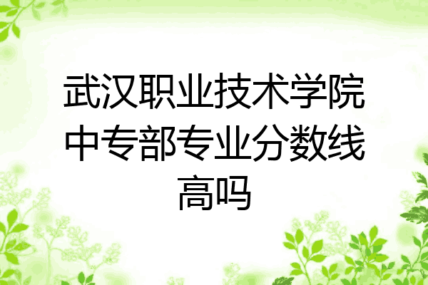 武汉职业技术学院中专部专业分数线高吗