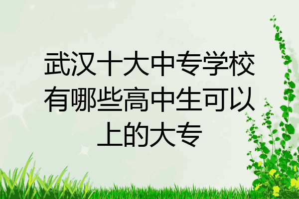 武汉十大中专学校有哪些高中生可以上的大专