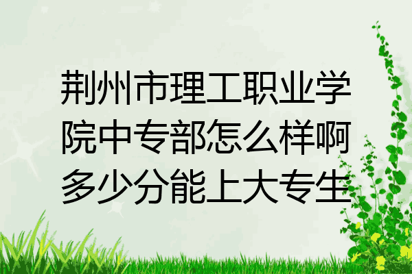 荆州市理工职业学院中专部怎么样啊多少分能上大专生