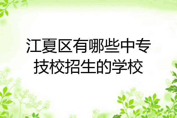 江夏区有哪些中专技校招生的学校