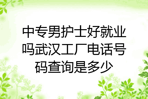 中专男护士好就业吗武汉工厂电话号码查询是多少