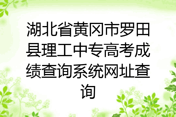 湖北省黄冈市罗田县理工中专高考成绩查询系统网址查询