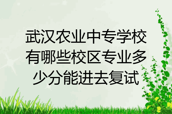武汉农业中专学校有哪些校区专业多少分能进去复试