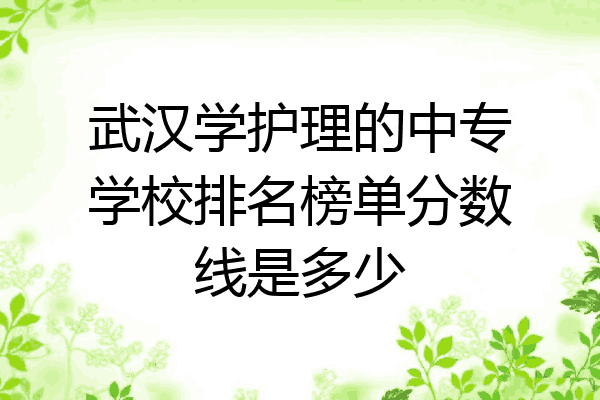 武汉学护理的中专学校排名榜单分数线是多少