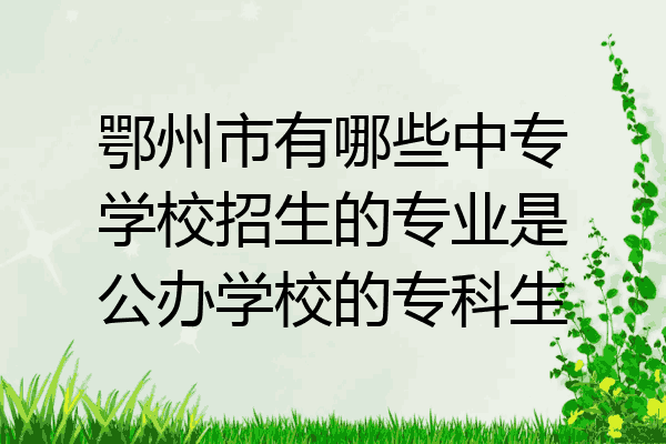 鄂州市有哪些中专学校招生的专业是公办学校的专科生