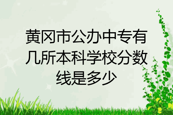 黄冈市公办中专有几所本科学校分数线是多少