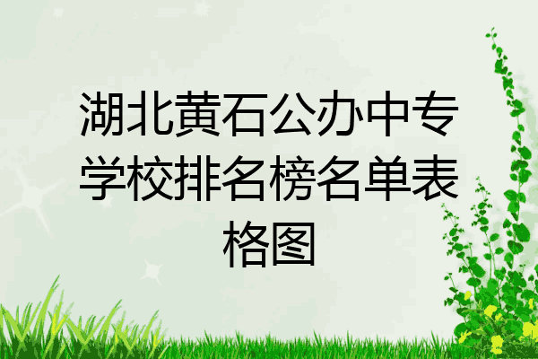 湖北黄石公办中专学校排名榜名单表格图