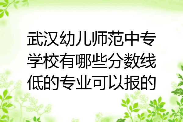 武汉幼儿师范中专学校有哪些分数线低的专业可以报的