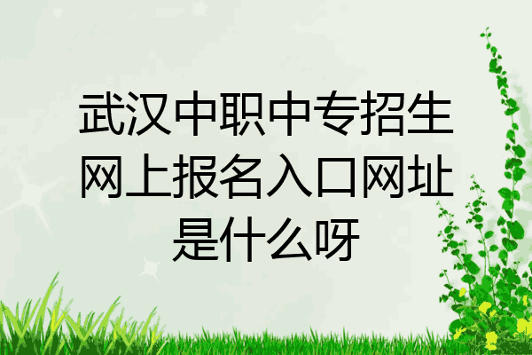 武汉中职中专招生网上报名入口网址是什么呀