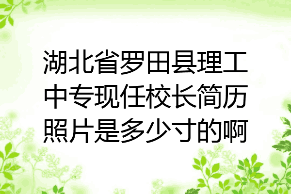 湖北省罗田县理工中专现任校长简历照片是多少寸的啊
