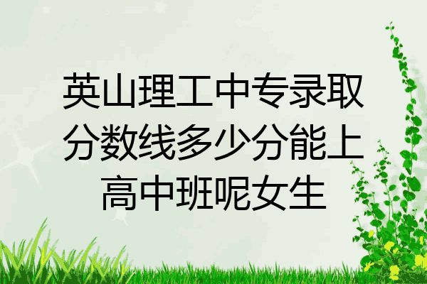 英山理工中专录取分数线多少分能上高中班呢女生
