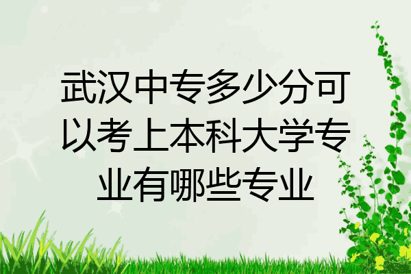 武汉中专多少分可以考上本科大学专业有哪些专业