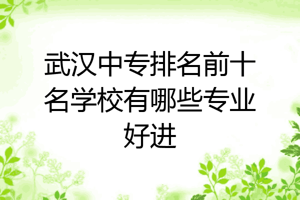 武汉中专排名前十名学校有哪些专业好进