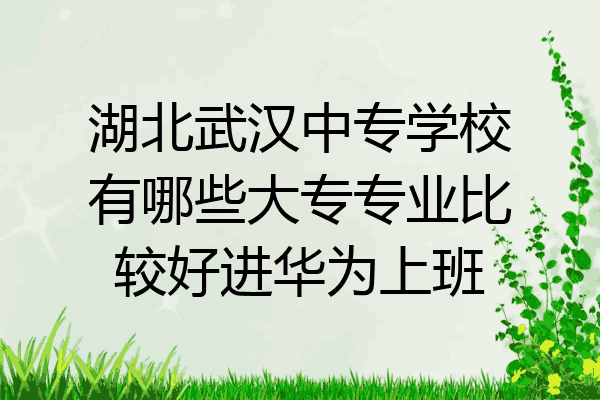 湖北武汉中专学校有哪些大专专业比较好进华为上班