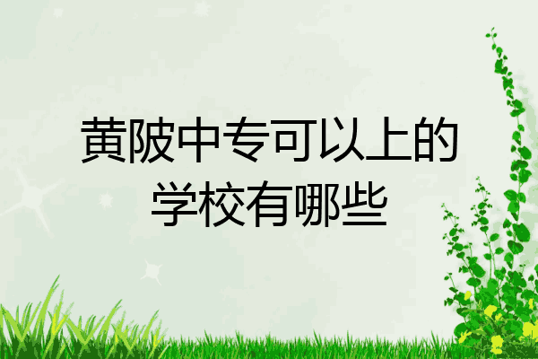 黄陂中专可以上的学校有哪些