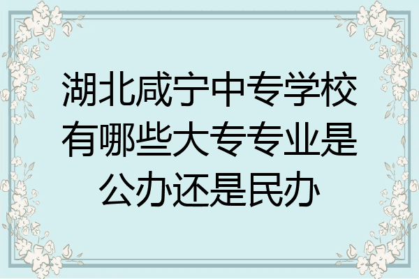 湖北咸宁中专学校有哪些大专专业是公办还是民办