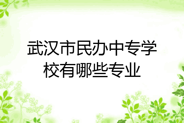 武汉市民办中专学校有哪些专业