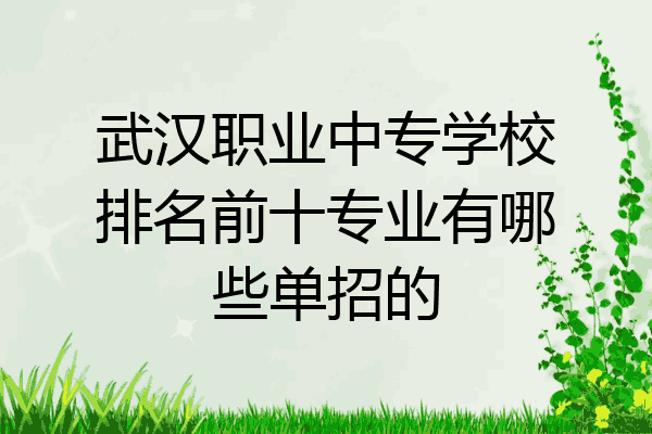 武汉职业中专学校排名前十专业有哪些单招的