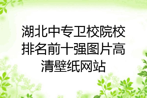 湖北中专卫校院校排名前十强图片高清壁纸网站
