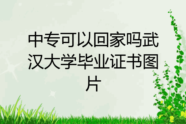中专可以回家吗武汉大学毕业证书图片