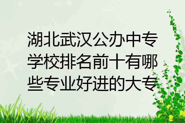 湖北武汉公办中专学校排名前十有哪些专业好进的大专