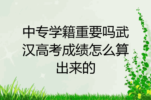 中专学籍重要吗武汉高考成绩怎么算出来的