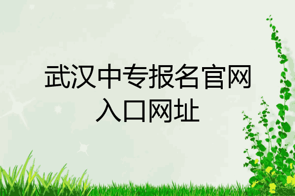 武汉中专报名官网入口网址