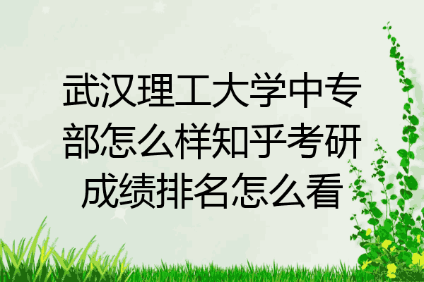 武汉理工大学中专部怎么样知乎考研成绩排名怎么看