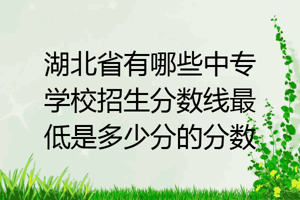湖北省有哪些中专学校招生分数线最低是多少分的分数