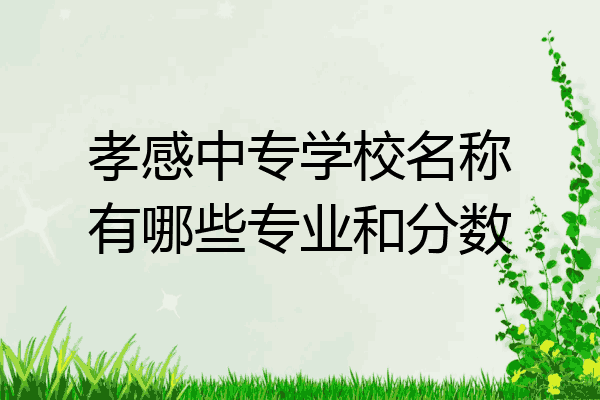 孝感中专学校名称有哪些专业和分数