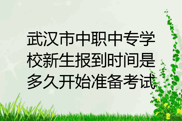 武汉市中职中专学校新生报到时间是多久开始准备考试