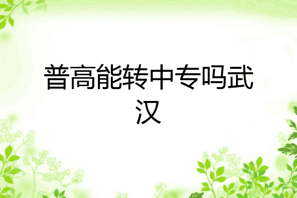 普高能转中专吗武汉