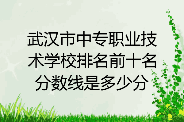 武汉市中专职业技术学校排名前十名分数线是多少分