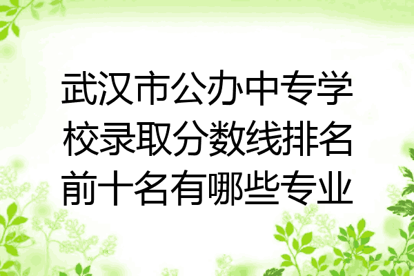 武汉市公办中专学校录取分数线排名前十名有哪些专业