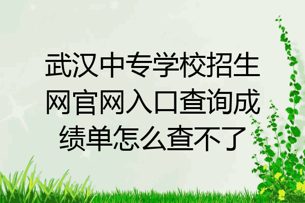 武汉中专学校招生网官网入口查询成绩单怎么查不了