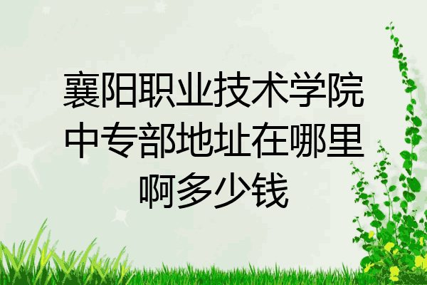 襄阳职业技术学院中专部地址在哪里啊多少钱